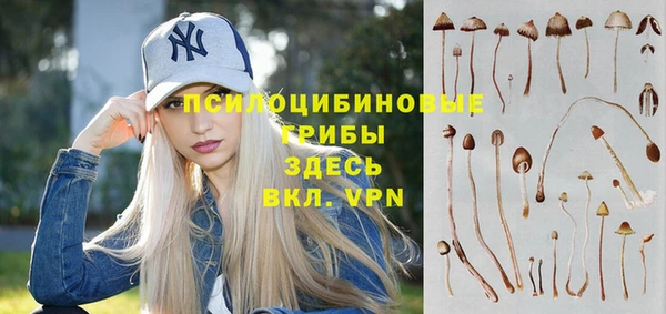бошки Арсеньев