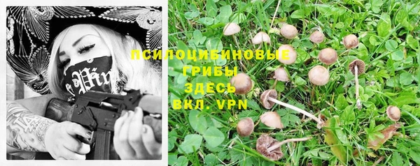 прущие крисы Надым