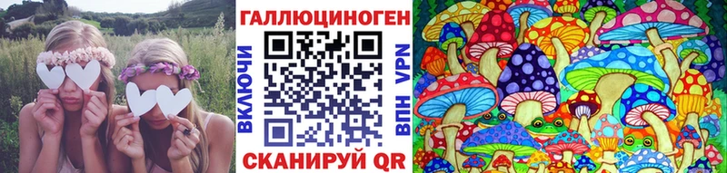 цены Грязовец Галлюциногенные грибы прущие грибы