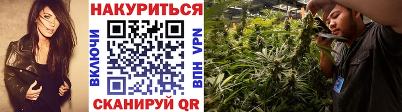darknet телеграм  где продают   Грязовец  Конопля LSD WEED  KRAKEN ССЫЛКА 